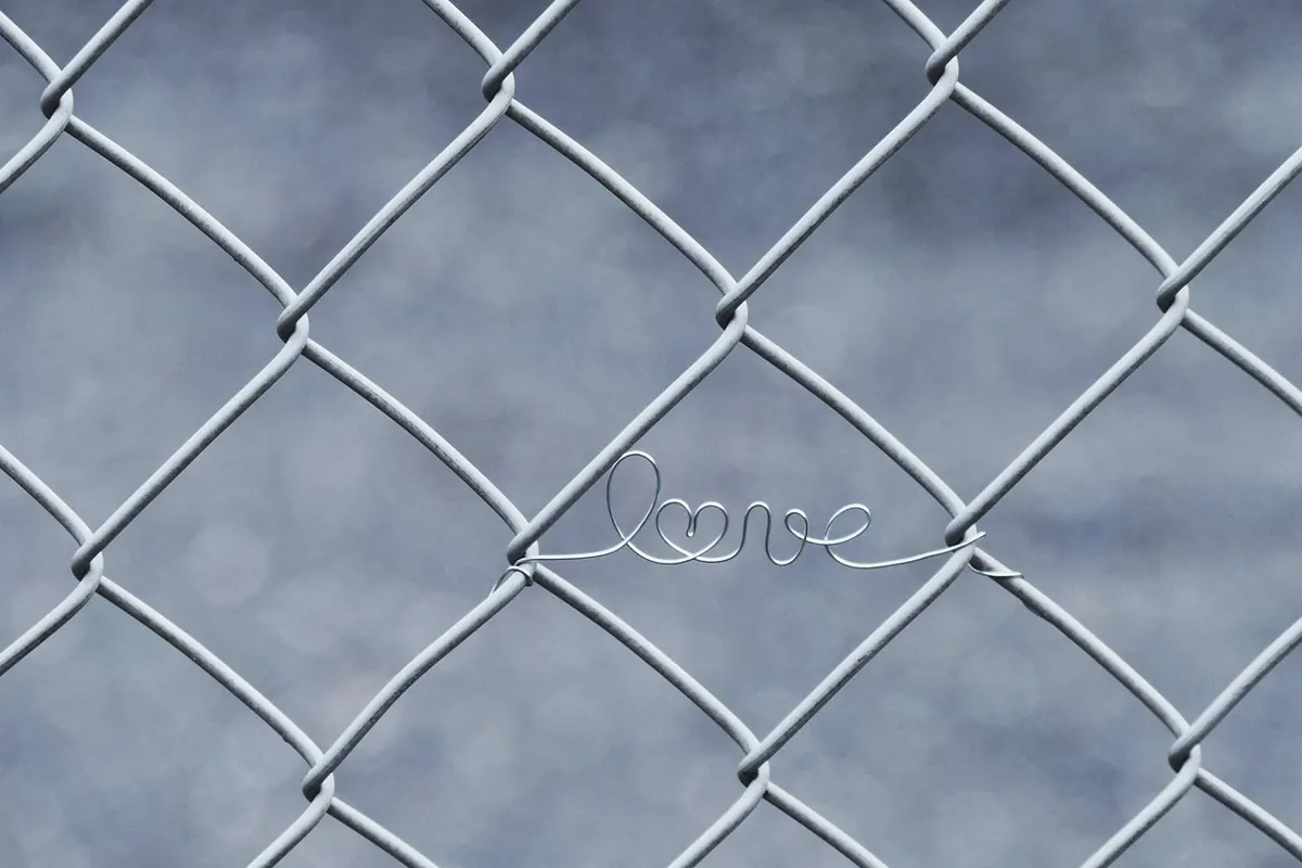 Common Birdwatching Mistakes Beginners Make (and How to Avoid Them)