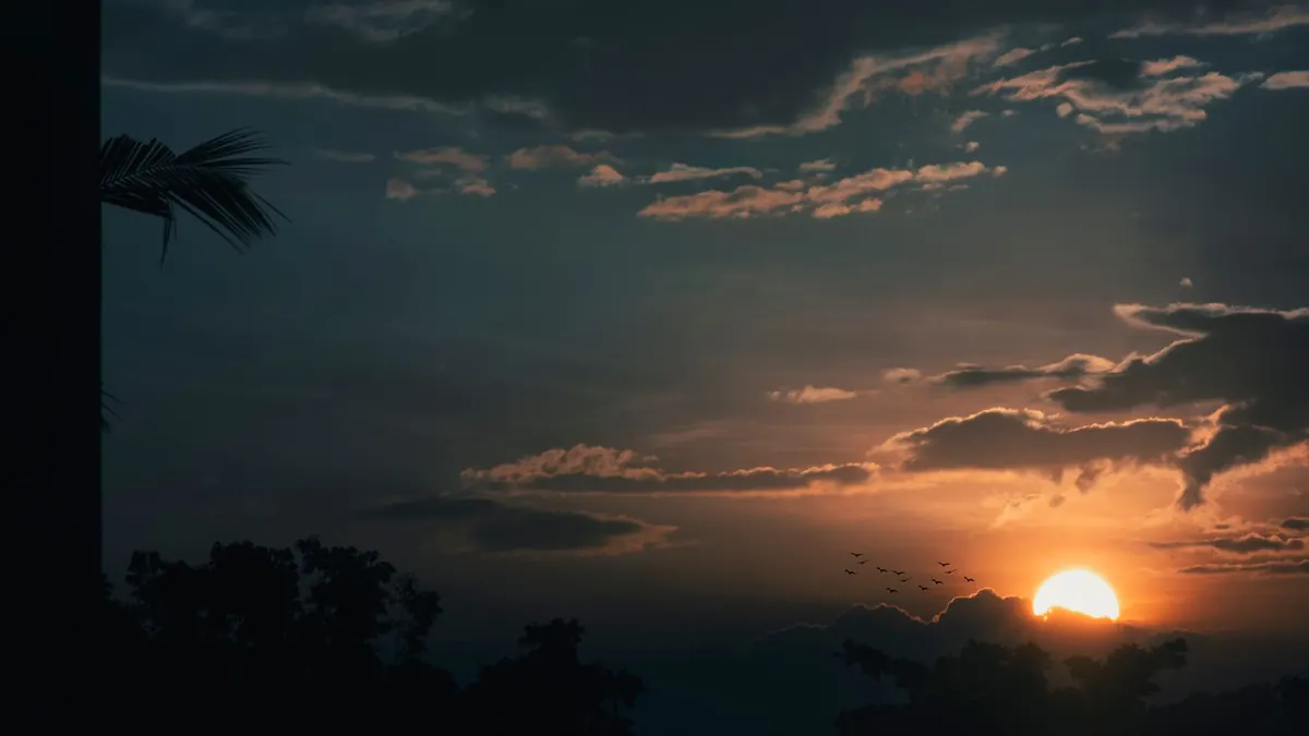 The Dawn Chorus in Britain: Why It Happens and How to Listen